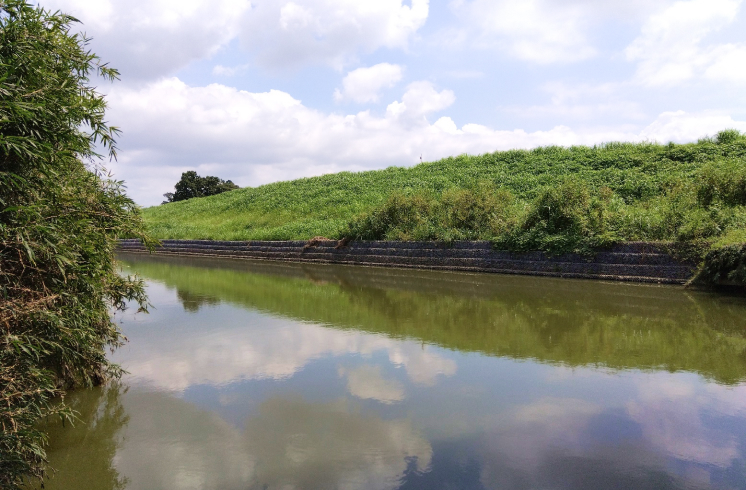 一級河川市野川